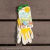 Bellingham Gloves Nitrile Touch Small Asst -Garden Plant Store bellingham gloves nitrile touch small asst