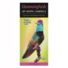Booklet Hummingbirds Of North America Quick Reference Guide -Garden Plant Store booklet hummingbirds of north america quick refere