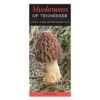 Booklet Mushrooms Of Tennessee Quick Reference Guide -Garden Plant Store booklet mushrooms of tennessee quick reference gui