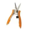 Compact Shear Dramm Colorpoint Orange -Garden Plant Store compact shear dramm colorpoint orange