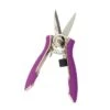 Compact Shear Dramm Colorpoint Purple -Garden Plant Store compact shear dramm colorpoint purple