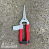 Corona Long Straight Snips Stainless Steel 1 -3/4in -Garden Plant Store corona long straight snips stainless steel 1 3 4in