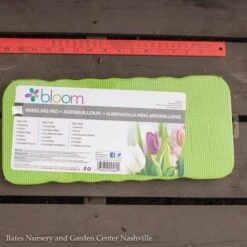 Garden Plant Store -Garden Plant Store kneeling pad standard bloom bond orbit 1