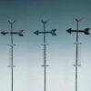 Rain Gauge Stake Bird Arrow Asst Glass/Metal Asst 36"H (#1) -Garden Plant Store rain gauge stake bird arrow asst glass metal asst