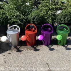 Watering Can 1Gal Traditional Metallic Colors Asst Panacea