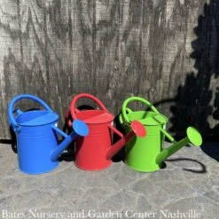 Watering Can 1Gal Traditional Primary Colors Asst Panacea X